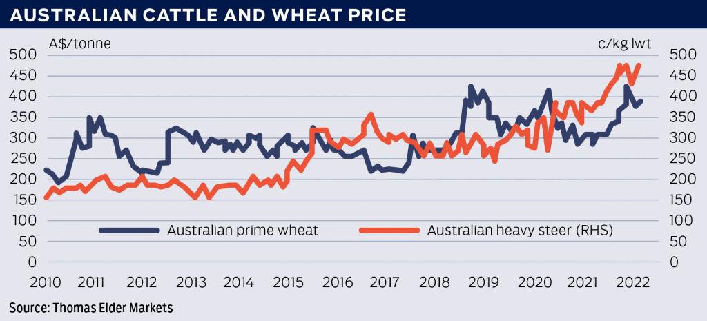 CATTLE_WHEAT_PRICE_GRAPH_jhswwm