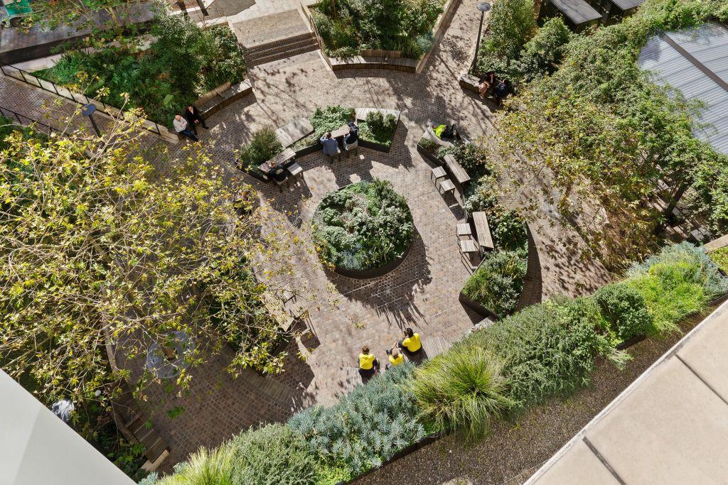 aerial view of the grounds at Charles Sturt University Sydney